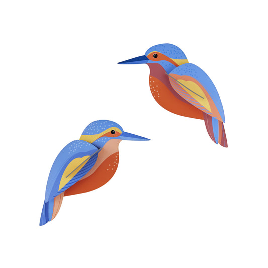 Studio Roof Wall Art Garden Birds (B6) Kingfishers