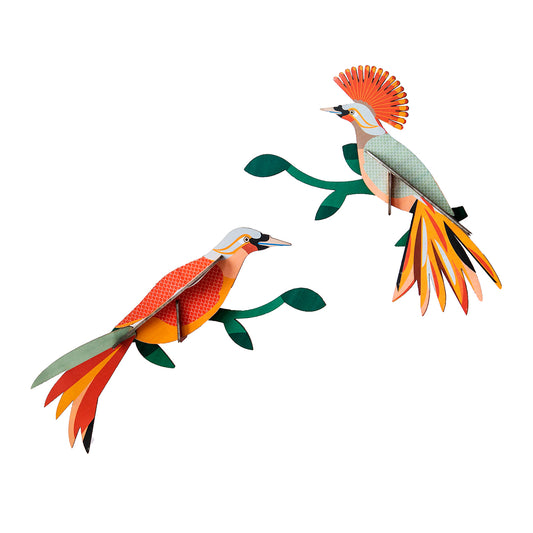 Wall Art Paradise Birds (B5) Obi