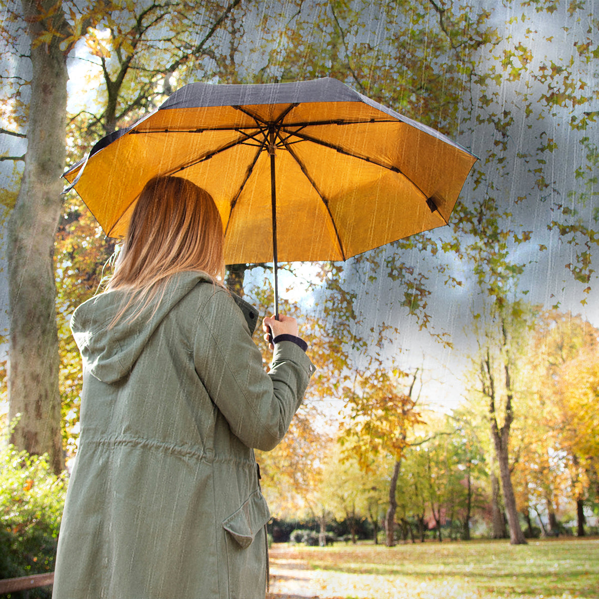 Suck UK Umbrella Black & Gold