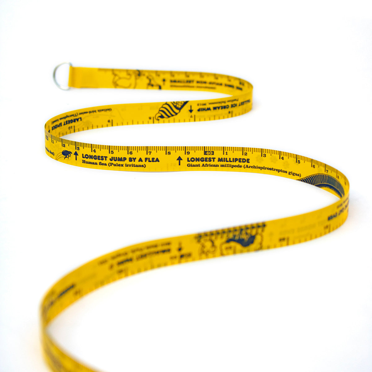 Suck UK Tape Measure World Records