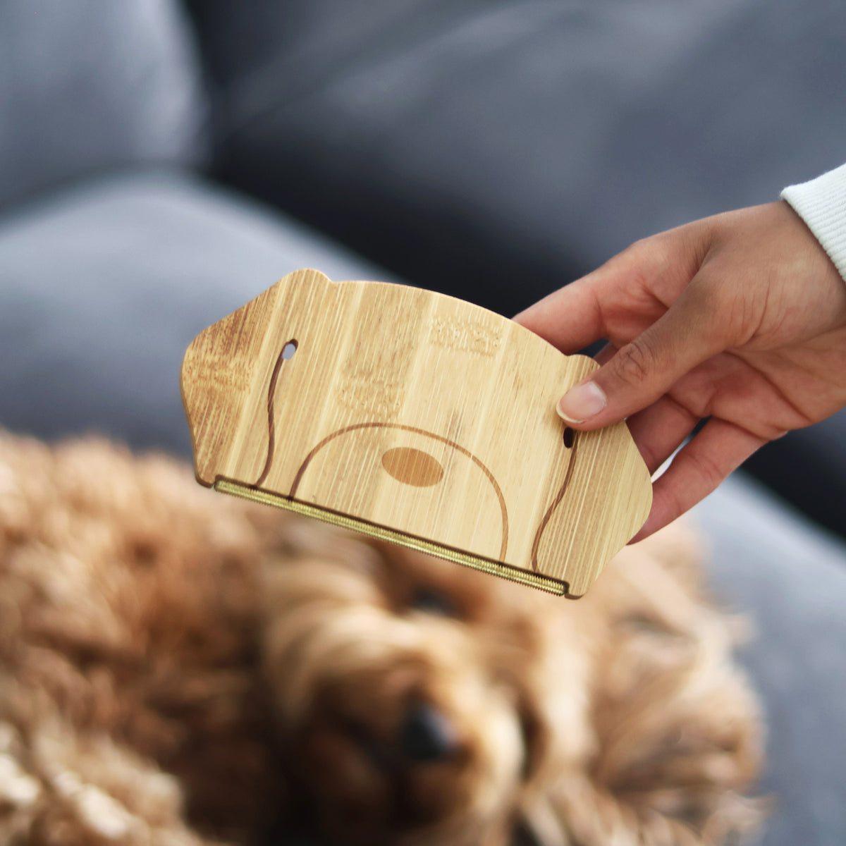 Pikkii Pet Hair Remover Dog