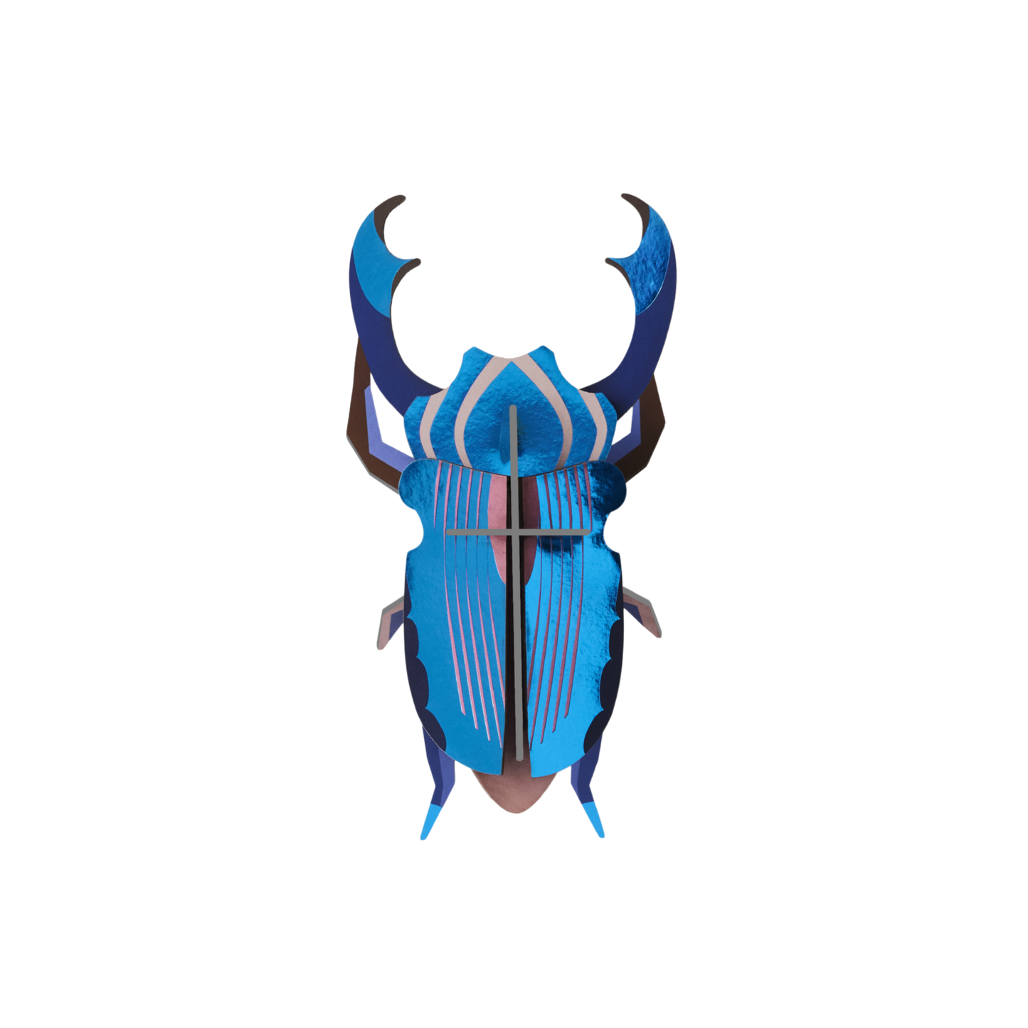 Studio Roof Wall Art Beetles (B6) Azure Stag Beetle