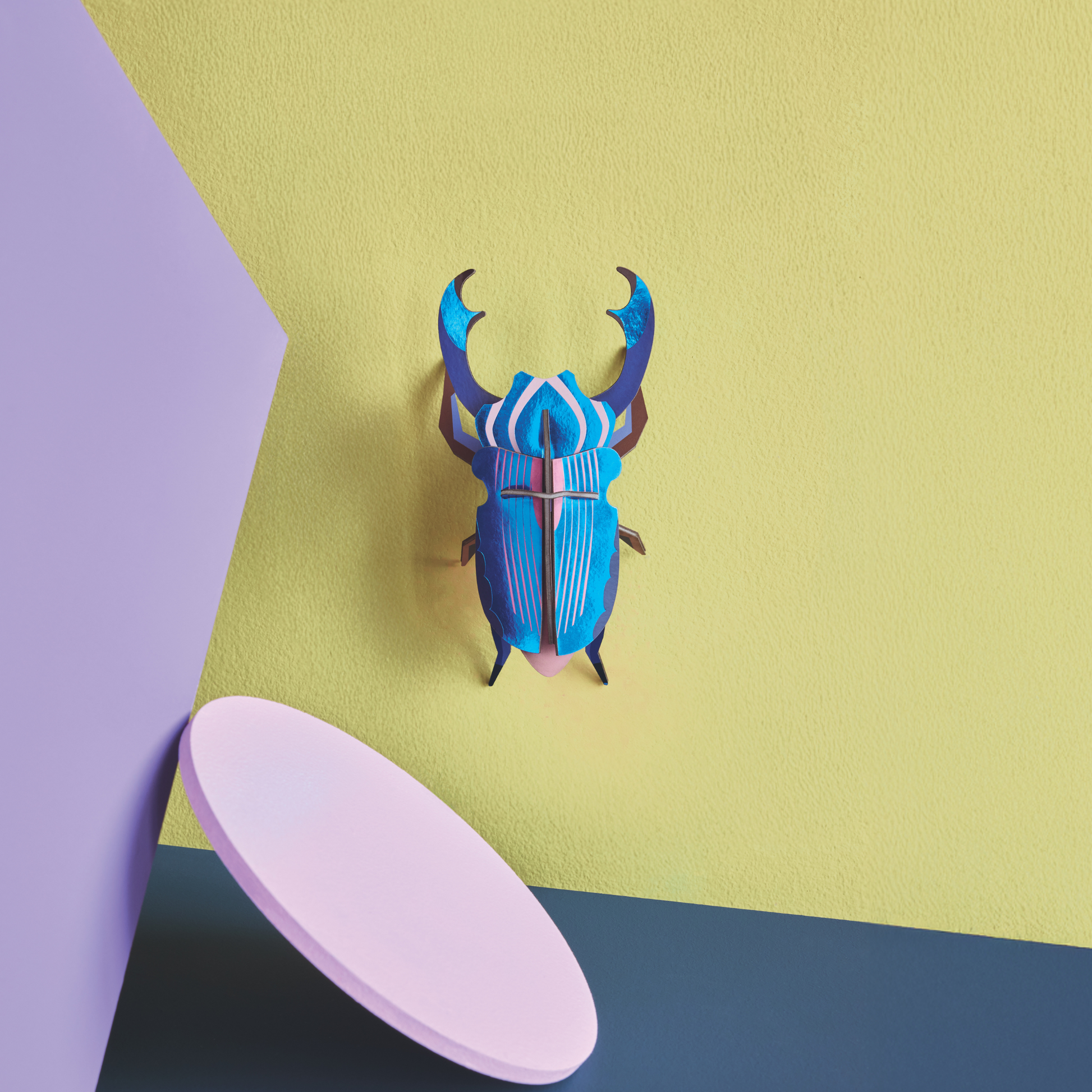 Studio Roof Wall Art Beetles (B6) Azure Stag Beetle