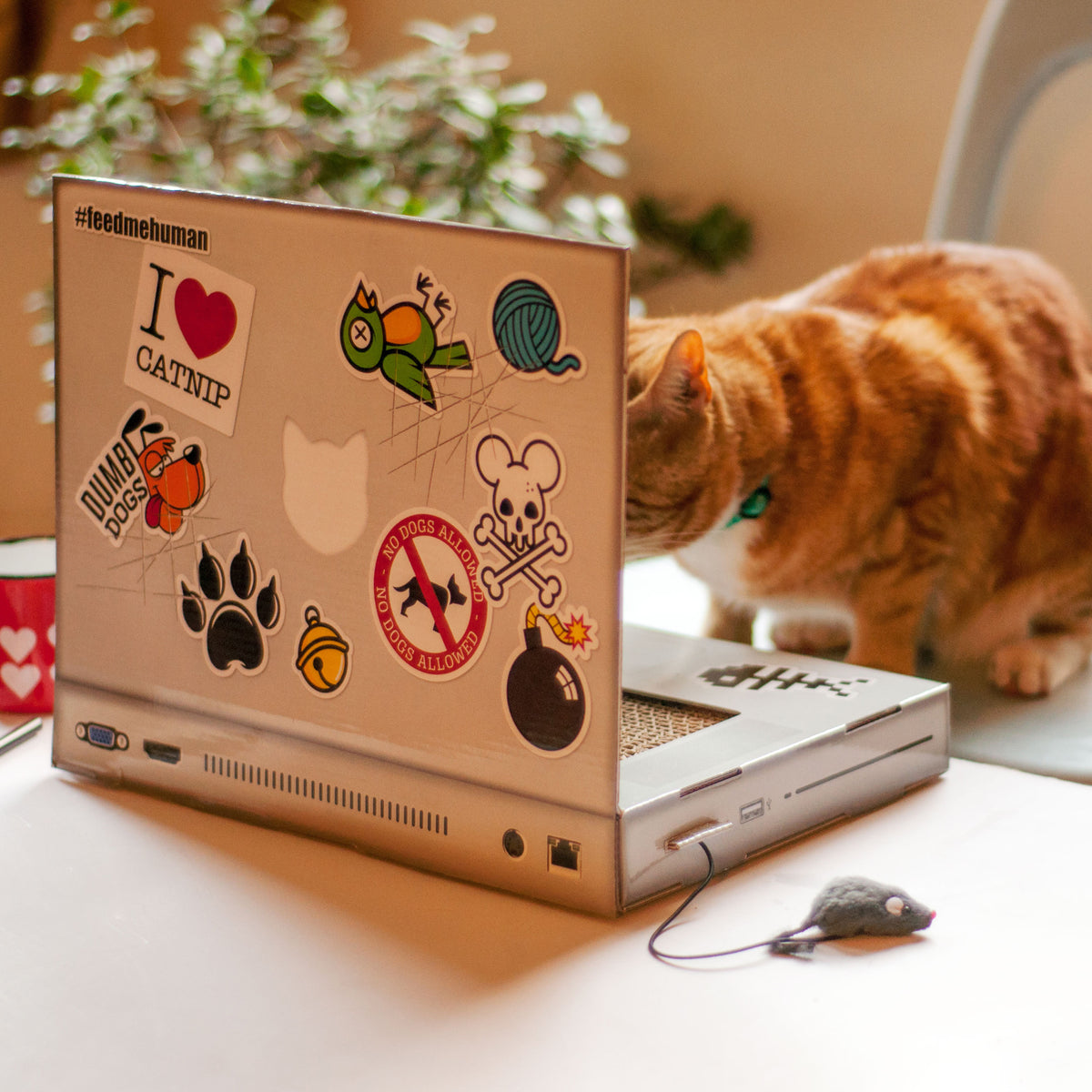Suck UK Cat Playhouse Scratch Laptop