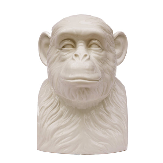 Suck UK Chimp Tidy