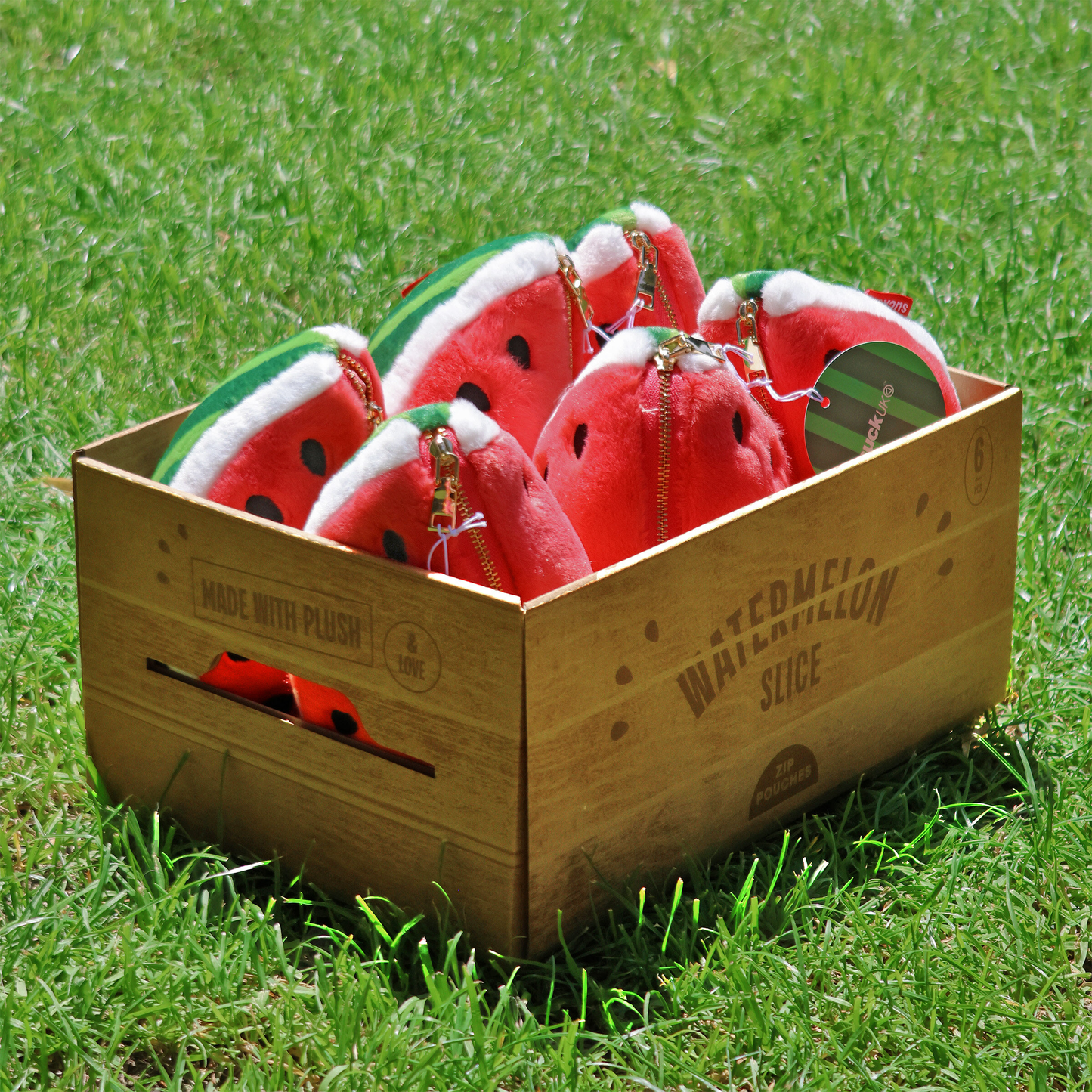 Suck UK Zip Case Watermelon
