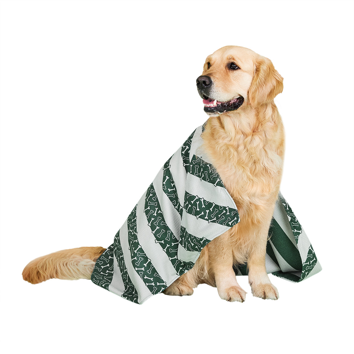 Dog Towel L Bone Dry