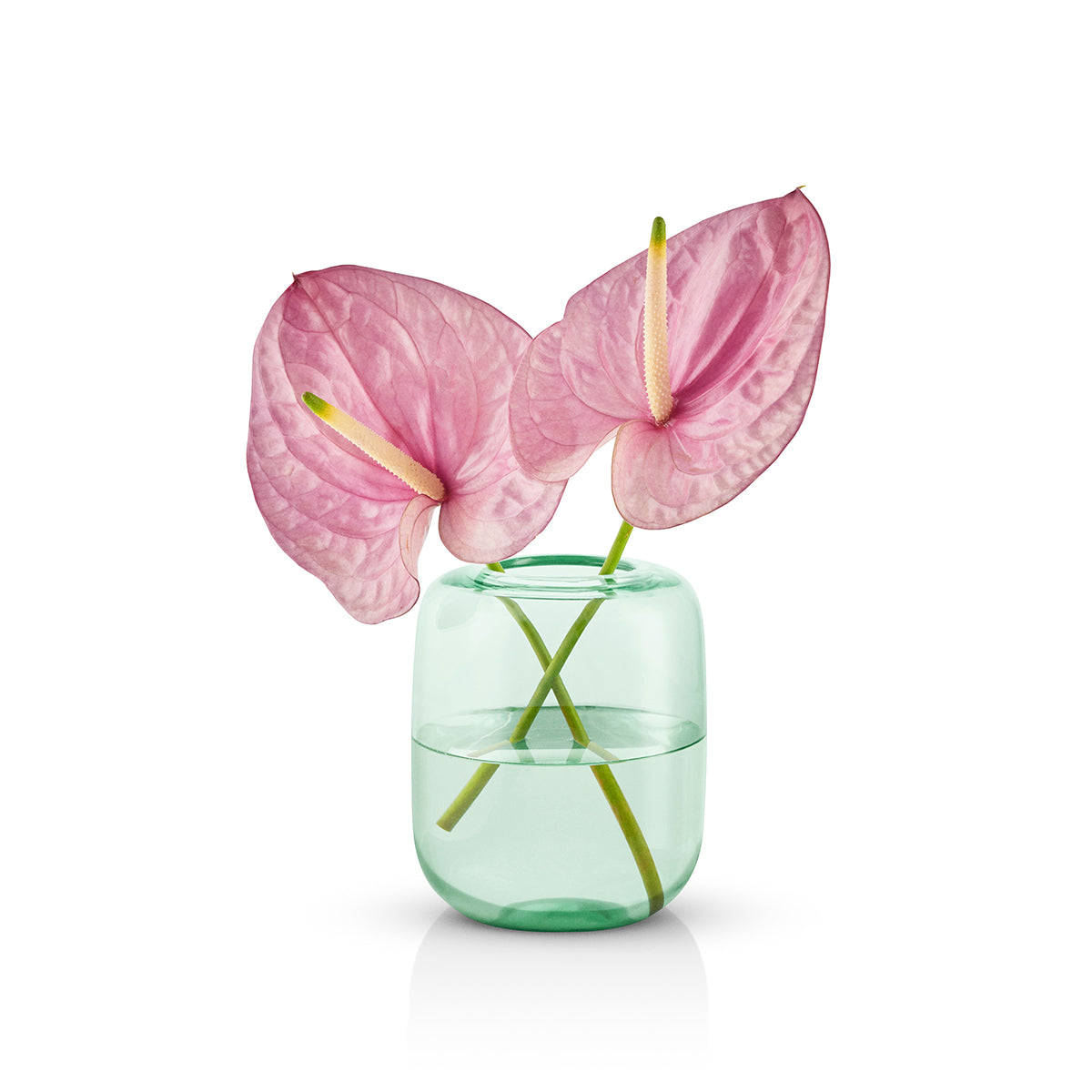 Acorn Vase 16.5cm Mint Green